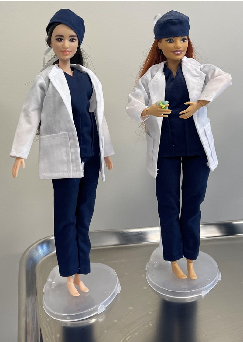 Barbie de doctora online